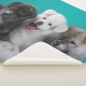 Cute Puppies Sherpa Deken (3/4)