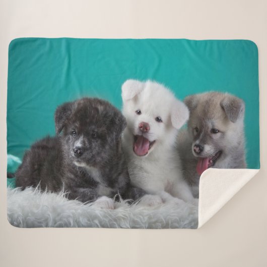 Cute Puppies Sherpa Deken (Voorkant (horizontaal))