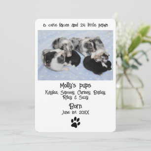 Cute Puppy Birth Announcement Kaart