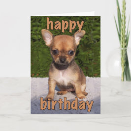 Cute Puppy Birthday Kaart
