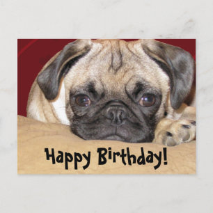Cute Puppy Birthday Wish Briefkaart