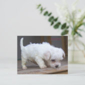 Cute Puppy Briefkaart (Staand voorkant)