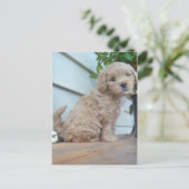 Cute Puppy Briefkaart (Staand voorkant)
