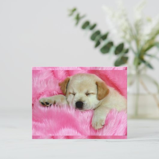Cute Puppy Briefkaart (Staand voorkant)