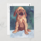 Cute Puppy briefkaart (Voorkant / Achterkant)