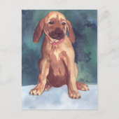 Cute Puppy briefkaart (Voorkant)