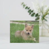 Cute Puppy Briefkaart (Staand voorkant)