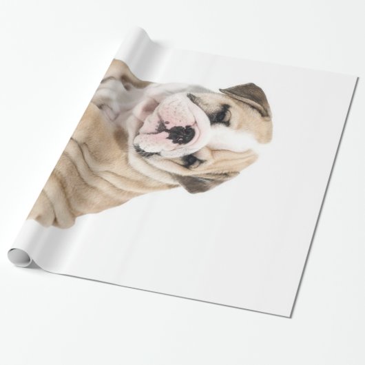 Cute Puppy Bulldog Sad Cadeaupapier (Uitgerold)