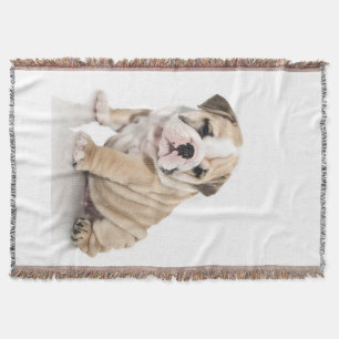 Cute Puppy Bulldog Sad Deken