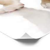 Cute Puppy Bulldog Sad Foto Afdruk (Hoek)