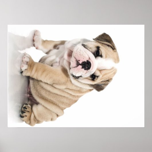 Cute Puppy Bulldog Sad Poster (Voorkant)