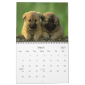 Cute Puppy Calendar Kalender (Mar 2027)