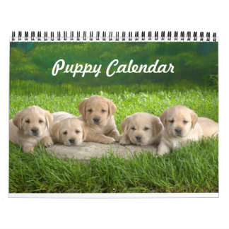 Cute Puppy Calendar Kalender