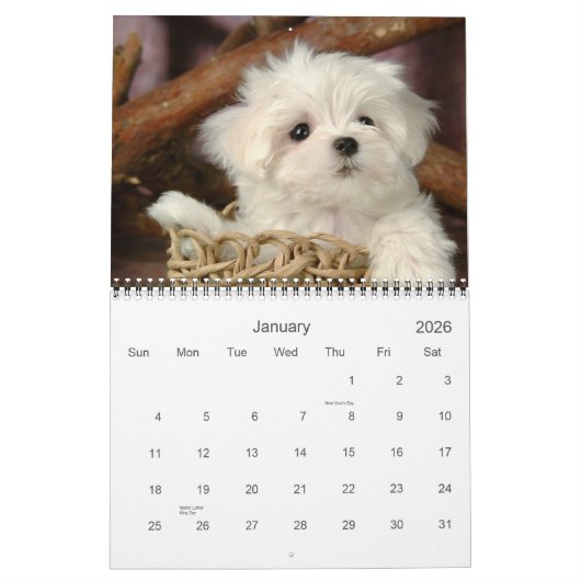 Cute Puppy Calendar Kalender (Jan 2026)