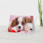 Cute Puppy Cavalier King Charles Wenskaart Kaart (Voorkant)