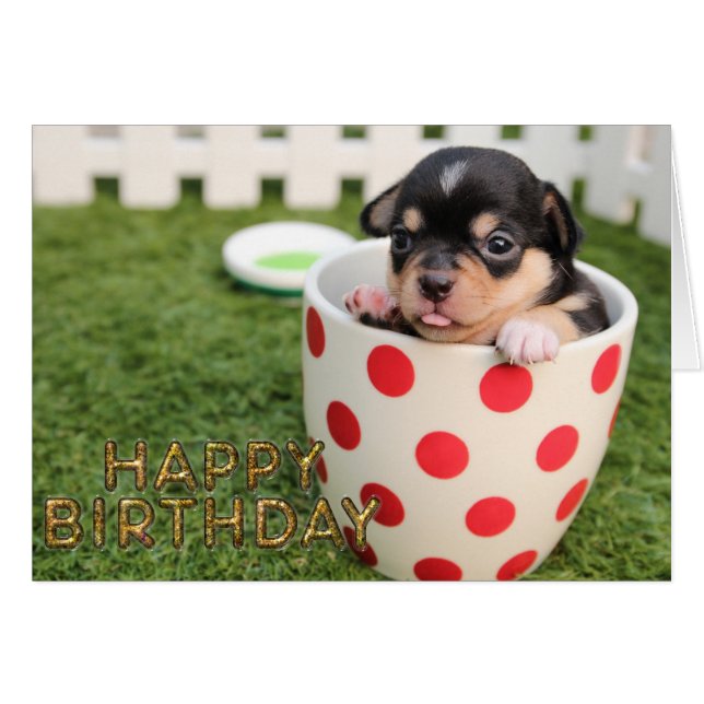 Cute puppy dog (Voorkant Horizontaal)