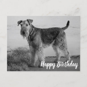 Cute Puppy Dog Airedale Terrier Happy Birthday Briefkaart