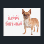Cute Puppy Dog Bday Funny Chihuahua Birthday Briefkaart<br><div class="desc">Het sturen van verjaardagsgroeten naar vrienden en familie is nooit makkelijker geweest dan met dit leuke Chihuahua puppy dog Happy Birthday briefkaart. Briefkaarten ter gelegenheid van de geboorte van honden zijn perfect voor * wenskaarten * bedrijven - dierenartsen, verzorgers, trainers, fokkers, wandelaars * programma's voor het redden en adopteren van...</div>