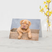 CUTE PUPPY DOG BIRTHDAY KAART (Gele Bloem)