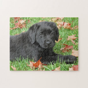 Cute Puppy Dog Black Labrador Retriever Legpuzzel