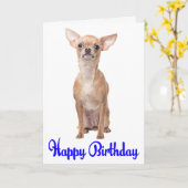 Cute Puppy Dog Chihuahua Happy Birthday Kaart (Gele Bloem)