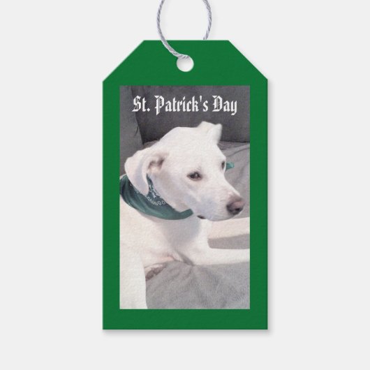 Cute Puppy Dog die Scarf Green en Gray Gift T Cadeaulabel (Voorkant)