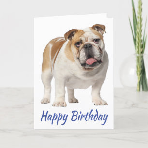 Cute Puppy Dog English Bulldog Birthday Kaart