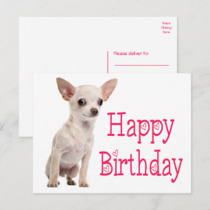 Cute Puppy Dog Funny Chihuahua Birthday Briefkaart