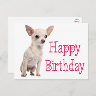 Cute Puppy Dog Funny Chihuahua Birthday Briefkaart