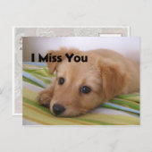 Cute Puppy Dog Kijk Briefkaart (Voorkant / Achterkant)