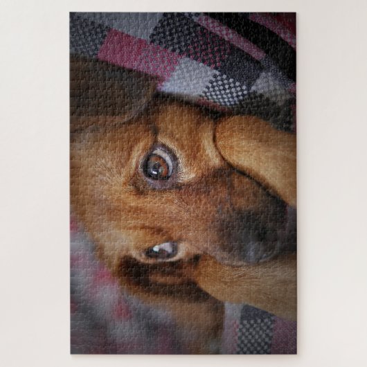 Cute Puppy Dog Legpuzzel (Verticaal)