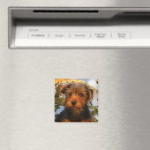 Cute Puppy Dog Mam Hondenliefhebber Airedale Terri Magneet (Insitu (Vaatwasser))