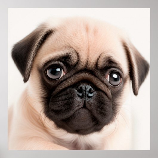 Cute Puppy Dog Portret Poster (Voorkant)