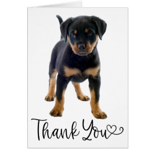 Cute Puppy Dog Rottweiler Bedankt