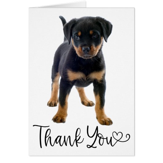 Cute Puppy Dog Rottweiler Bedankt (Voorkant)