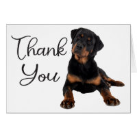 Cute Puppy Dog Rottweiler Bedankt