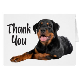 Cute Puppy Dog Rottweiler Bedankt
