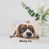 Cute Puppy Dog/Spaniel Sad Eyes Foto ontbreekt u Briefkaart (Staand voorkant)