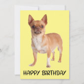 Cute Puppy Dog Yellow Funny Chihuahua Birthday Kaart (Voorkant)