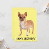 Cute Puppy Dog Yellow Funny Chihuahua Birthday Kaart (Voorkant / Achterkant in situ)