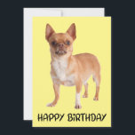 Cute Puppy Dog Yellow Funny Chihuahua Birthday Kaart<br><div class="desc">Het sturen van verjaardagsgroeten naar vrienden en familie is nooit makkelijker geweest dan met dit leuke Chihuahua puppy dog Happy Birthday wenskaart. Briefkaarten ter gelegenheid van de geboorte van honden zijn perfect voor * wenskaarten * bedrijven - dierenartsen, verzorgers, trainers, fokkers, wandelaars * programma's voor het redden en adopteren van...</div>