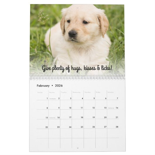 Cute Puppy Dogs Funny Inspirerend Advice 20XX Kalender (Feb 2026)