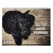Cute Puppy Dogs Funny Inspirerend Advice 20XX Kalender (Hoes)