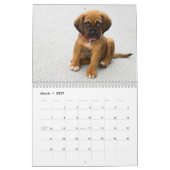 Cute Puppy Dogs Kalender (Mar 2027)