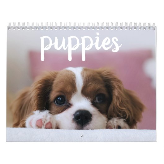 Cute Puppy Dogs Kalender (Hoes)