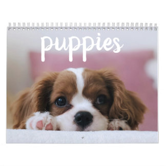 Cute Puppy Dogs Kalender