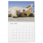 Cute Puppy Dogs Kalender (Jan 2026)