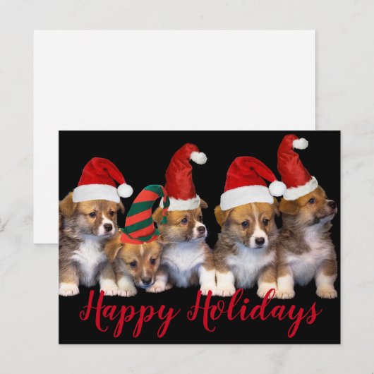 Cute Puppy Dogs Prettige feestdagen Kerstmis Briefkaart (Voorkant / Achterkant)