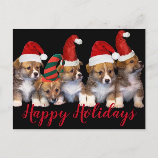 Cute Puppy Dogs Prettige feestdagen Kerstmis Briefkaart (Voorkant)