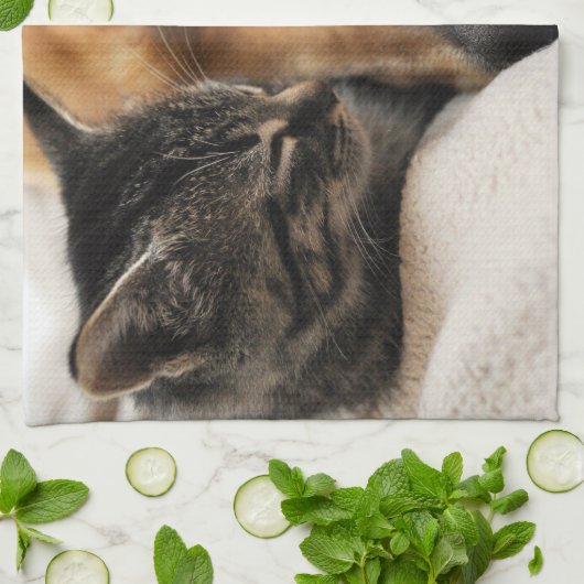 Cute Puppy en Kitten Theedoek (Gevouwen)